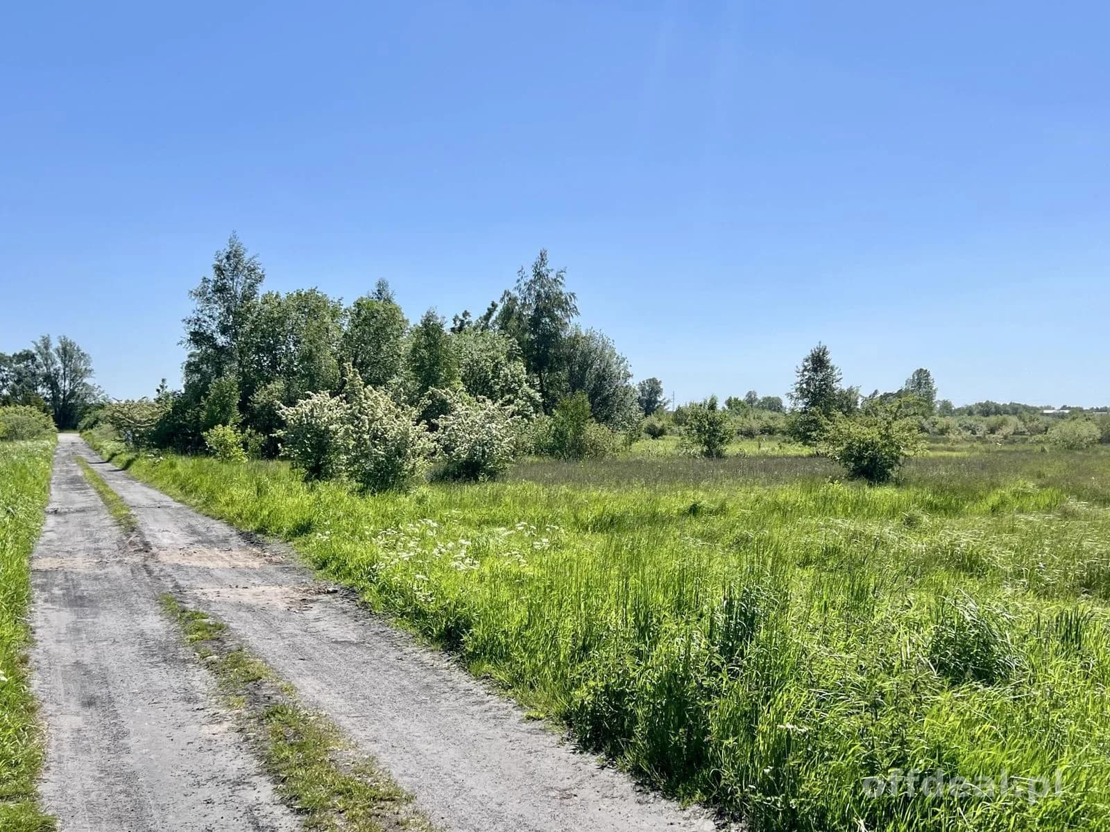 ділянка на продаж у Stary Borek | 2 228 m²